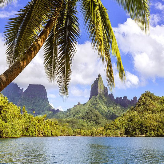 Traveler's Spotlight