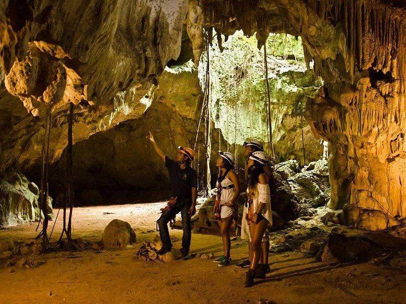 Nature & Wildlife Tourism